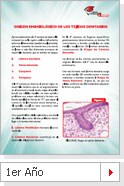 Primer Año PDF